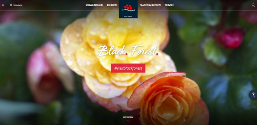 Website Promotion
