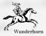Logo der Firma Verlag Das Wunderhorn GmbH