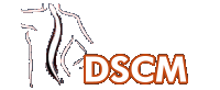 Logo der Firma DSCM e.V.
