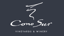 Logo der Firma Viña Cono Sur S.A
