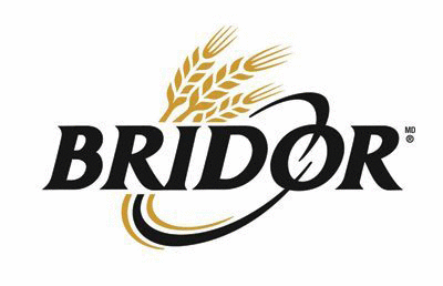 Logo der Firma BRIDOR SAS