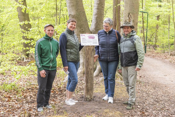 Erster Achtsamkeitspfad in Mecklenburg-Vorpommern im Ostseeheilbad Graal-Müritz eröffnet