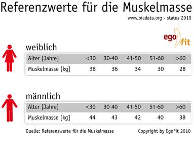 Muskeln Spielen Mit Fett Egofit Gesundheitsberatung Gmbh Pressemitteilung Lifepr