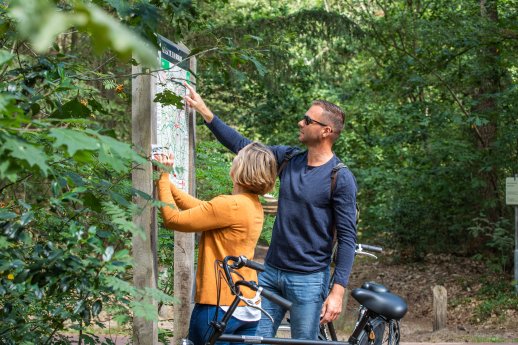 Radfahren in Brabant Knotenpunkte (c)VisitBrabant.jpg