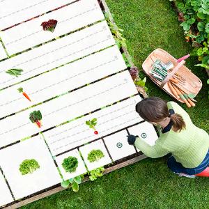 alphabeet: Beetplanung leicht gemacht