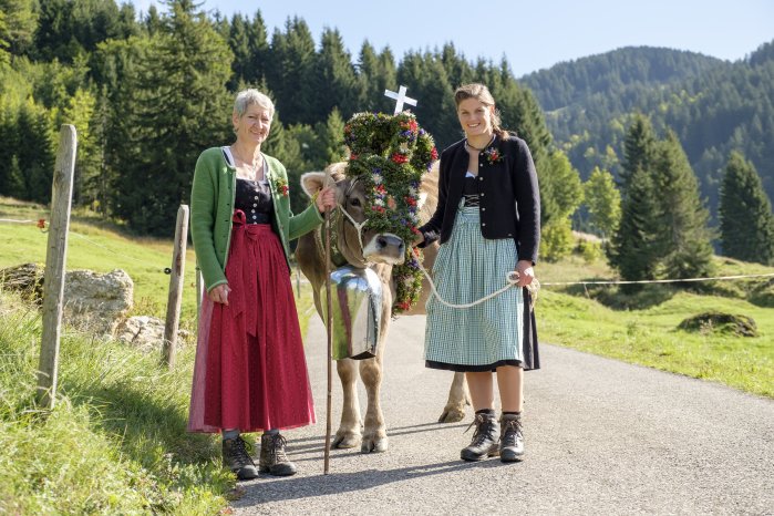 Viehscheid_Balderschwang_©Tourismus-Hörnerdörfer_ProVisionMedia_PVM20170915_7418.jpg