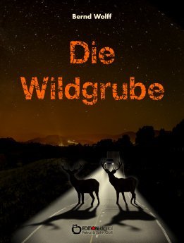Wildgrube_cover.jpg