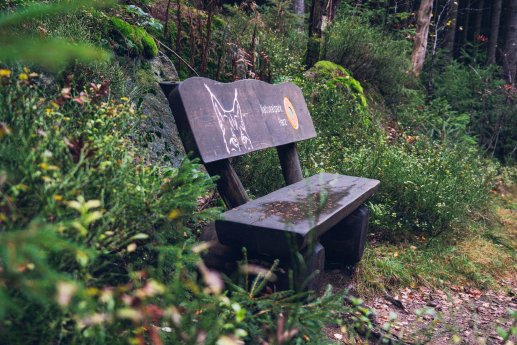 bad_harzburg(c)wanderungen_november.jpg
