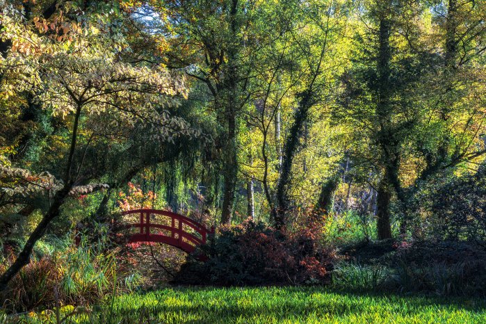 2.Platz_Autumnal Impressions at the Red Bridge' by Daniele Dugre.jpg