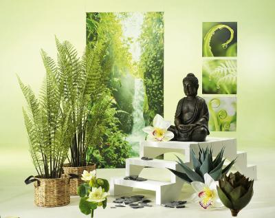 Wellness+Kosmetik