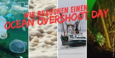 Ein Überlastungstag unserer Meere würde schonungslos offenlegen, wie stark wir die marinen Ökosysteme überfordern.