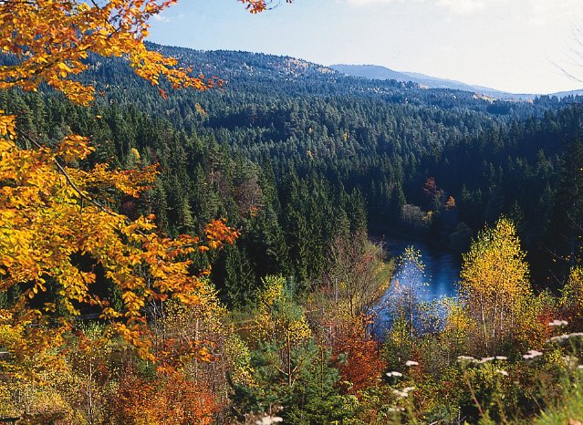 Blick auf das Regental.jpg