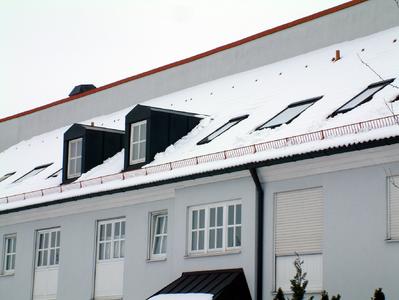 Bayerns Dachdecker Die Nachste Eiszeit Kommt Bestimmt