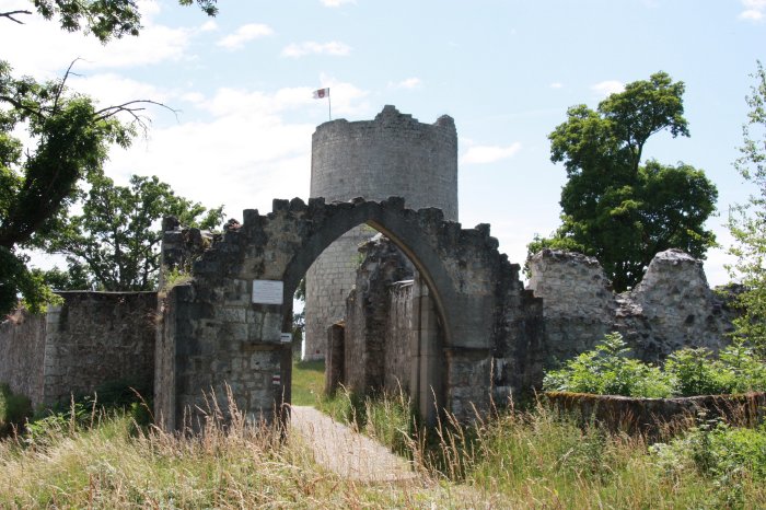 1_Kallmuenz_Burgruine_Fotograf Susanne Kammerer.jpg