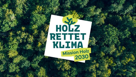 PM-2024-DHWR-Holz-re~ktionstage-Logo.jpg