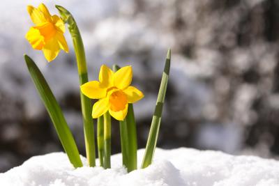 Winter trifft auf Frühling in den Allgäuer Hörnerdörfern