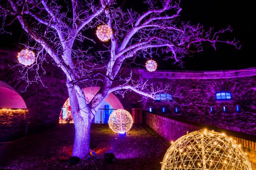 Christmas Garden Koblenz 2021_Castle Tree©Christmas Garden-Michael Clemens.jpg