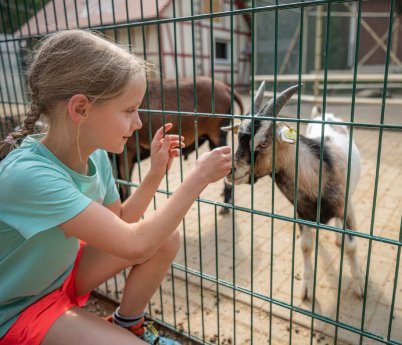 Tier- und Erlebnispark Lützen (c) Falko Matte, Saale-Unstrut-Tourismus e.V..jpg