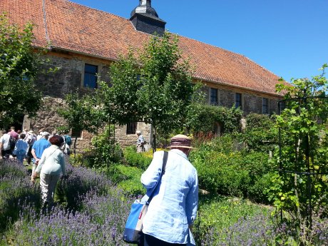 Kloster-Michaelstein-Kräutergarten-Foto-Melanie-Krilleke-Rechte-Harzer-Kloester.jpg