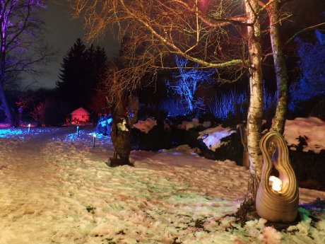 Lichterwald Birkenried-1.JPG