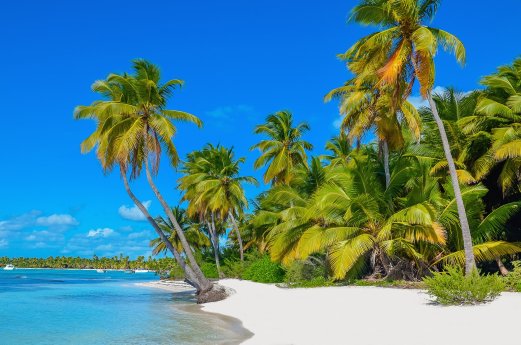 Guadeloupe@ ankamonika_Deposit_atambo_72788183_S.jpg