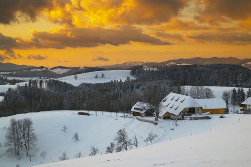 schwarzwaldhaus_im_winter_am_thurner_large.jpg