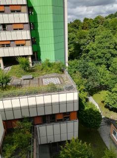 Auch die Vorbereitungen zur Anlage ganzer Gärten und begehbarer Parklandschaften auf Dächern gehört zum Berufsbild des Dachdeckerhandwerks. Fotos: HF.Redaktion (honorarfrei)