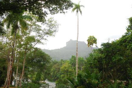 Alexander von Humboldt Nationalpark / Credit: Cuba Buddy