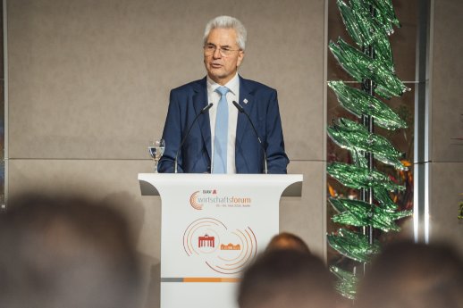 DAV_Wirtschaftsforum_2026_Dr_Hubmann_Quelle_DAV_Ansgar_Schwarz.jpg