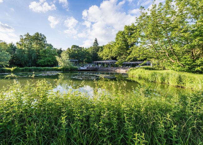 Pergola_am_See__c__BBM_Markus_Tiemann.jpg