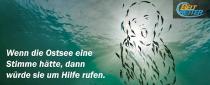Stoppt den Fehmarnbelt-Tunnel
