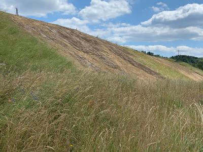 Foto: Wall, Archiv Naturschutzinitiative e.V. (NI)
