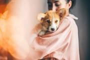 Tierische Weihnachten – sicher und entspannt durch die Adventszeit