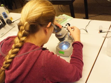 Wanna Ahlenmoor Mikroskopieren.JPG