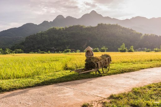 Vietnam Laos - Natur im Mai Chau Tal - Vietnam - Asien Special Tours.jpg