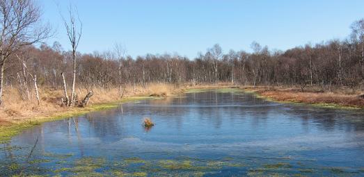 Ahrensfelder Moor LK Osterholz