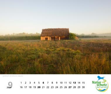 Naturschätze 2020 - Monat September - Foto: Naturschutzinitiative e.V. (NI)