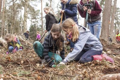Internationaler Tag der Wälder