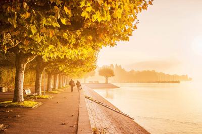Goldener Herbst in Konstanz: Entspannte SinnesFreuden am und auf dem Bodensee