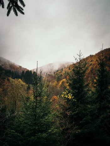Harz_im_Herbst.jpg