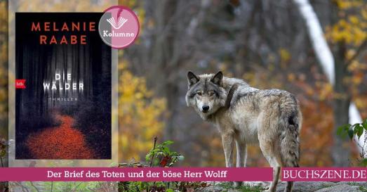 Melanie Raabe entführt mit ihrem psychologischen Thriller „Die Wälder” in ein abgelegenes Dorf. Foto: ©Jim Cumming shutterstock-ID 1076752976