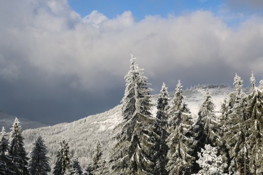 Winterlicher Jahresstart_Foto Thomas Dobrzewski.JPG