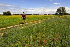 Unterwegs auf der Halbinsel Lieper Winkel