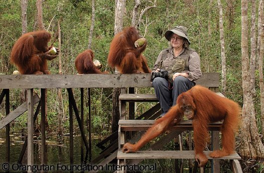 Dr. Biruté Mary Galdikas & Orangutans.jpg