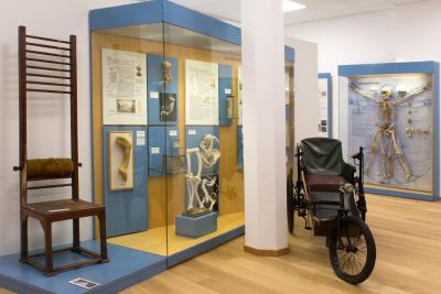 Zeitreise durch die Entwicklung der Orthopädie in Deutschland: Nach einjährigem Umbau wurde jetzt in Frankfurt das Deutsche Orthopädische Geschichts- und Forschungsmuseum wiedereröffnet.