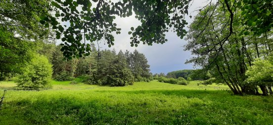 Kohlenbachtal_Andreas_Seel.jpg