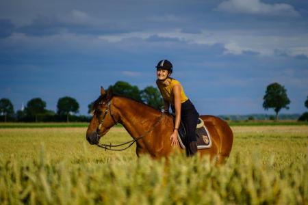 Tierisch fit