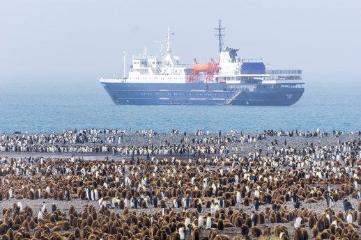 Ortelius_Penguins waiting in line to board Ortelius © Anne Haraldsted - Oceanwide Expeditions.jpg