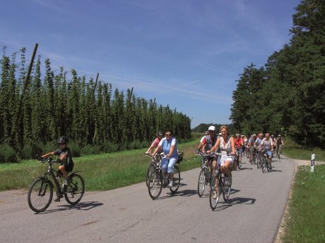 S_Hopfenradler Foto=Hopfenland Hallertau.jpg