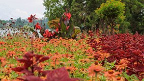Konstanz_Stadtfuehrung_Gartenlandschaft_07_Copyright_MTK_Xenia_Martin.png